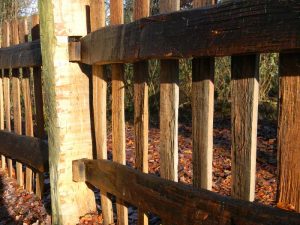post and rail fencing oak